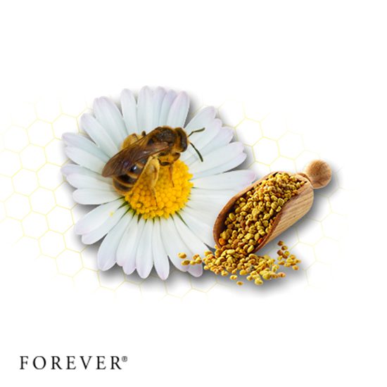 خواص محصولات زنبور عسل